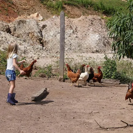 Pousada Água Limpa-2